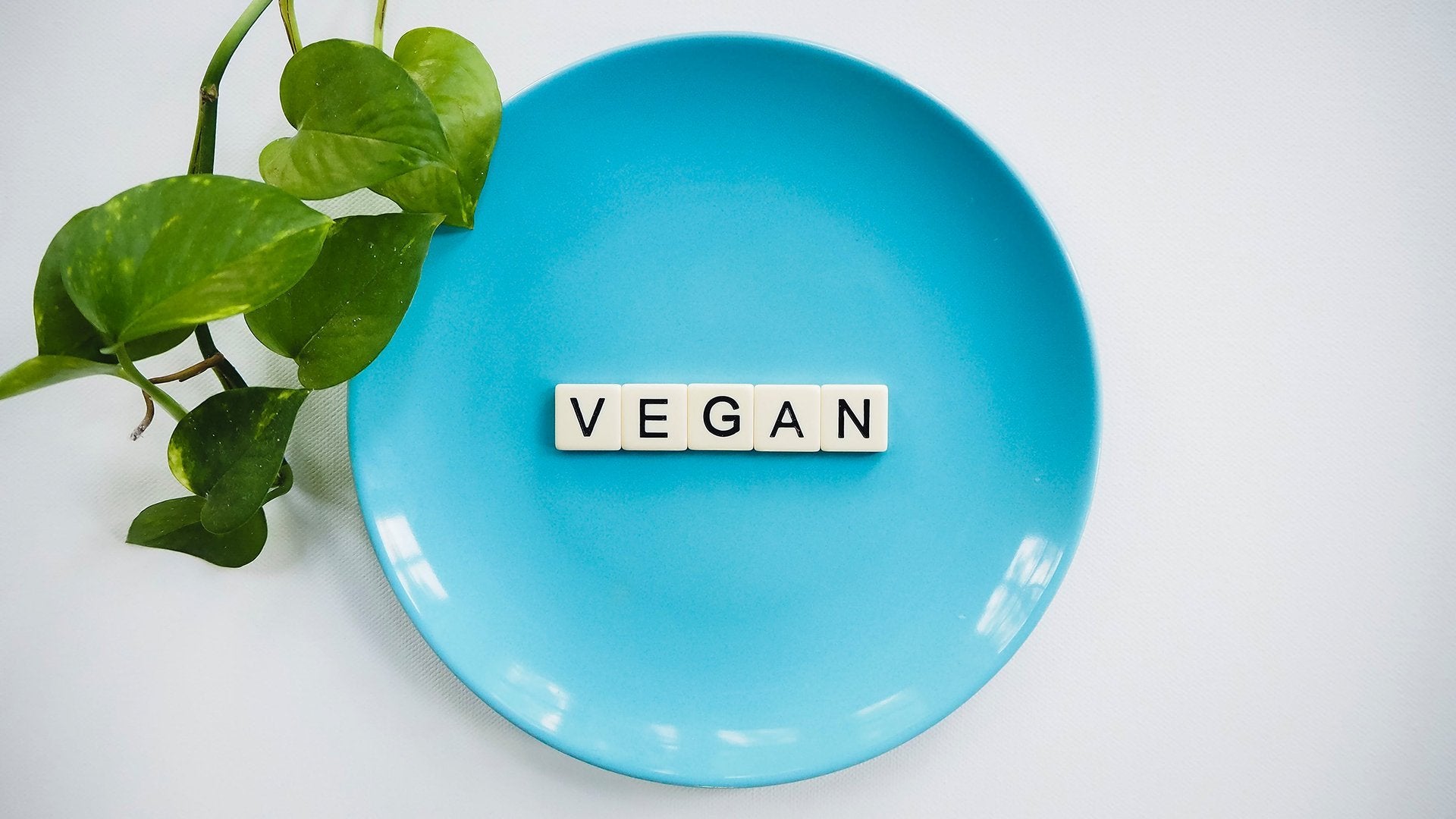 Fraenck & Vegan - Fraenck
